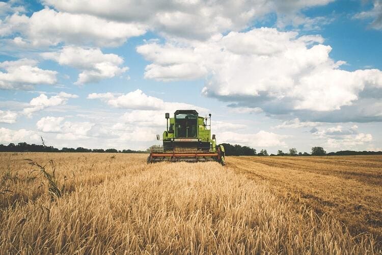 agribusiness-1.jpg